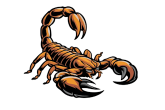 create a modern awesome scorpion logo design