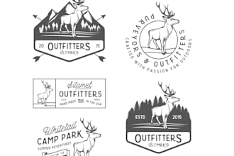 create a modern hunting logo design
