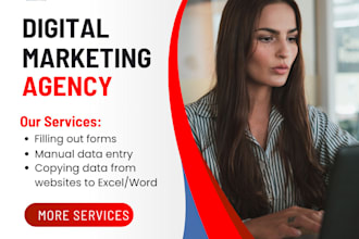 accurate data entry copy paste typing excel data