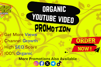 do very fast organic youtube channel promotion traffic video complete monetize