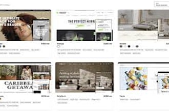 design or redesign shopify store, dropshipping store