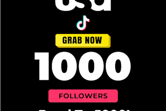 do organic tiktok usa followers to add