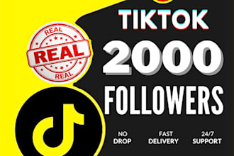 do organic tiktok usa followers to add