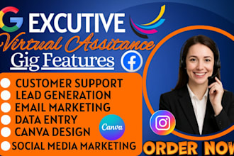 be your executive virtual assistance for admin business task management