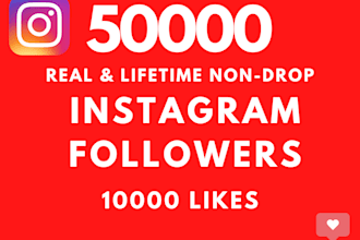 increase 10k instagram usa followers with lifetime guarantee