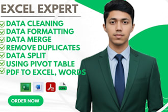 do excel data cleaning, formatting, remove duplicates