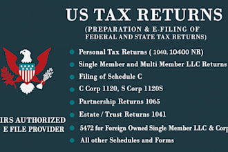 prepare individual and business income tax returns