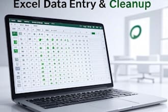 excel data entry formatting and cleanup