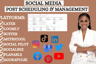 schedule social media posts using socialbee metricool loomly socialpilot