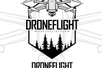 design professional drone logo