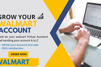 be your expert walmart virtual assistant