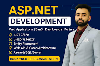 be dot net developer bug fixing, fix issues dot net web application developer