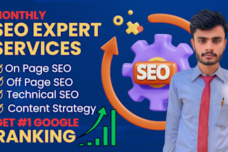 do monthly wordpress full SEO service for google ranking
