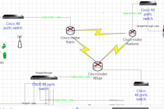 do network engineering tasks and troubleshoot network issues