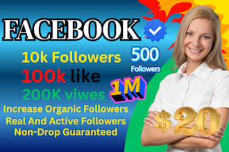 increase social media followers