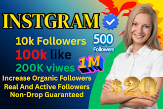 increase social media followers
