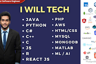 tutor c sharp, c, cpp, java, r, python, matlab, programming project or coding
