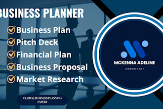 create profession business plan with financial 5yr projections