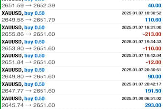 provide forex ea robot, forex ea bot, forex trading bot, forex trading robot