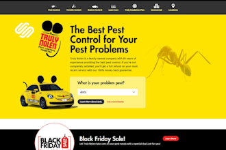 build squarespace pest control website junk removal wix fumigation cleaning site