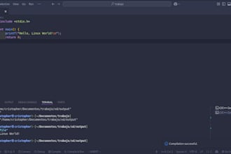 embedded and linux c mastery
