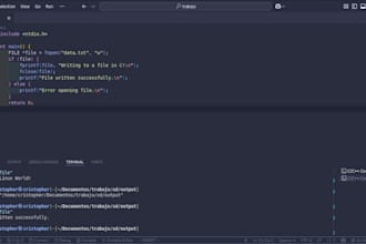 embedded and linux c mastery