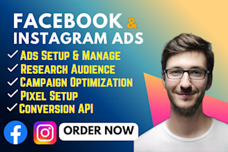 run facebook and instagram ads, meta ads specialist