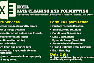 do excel data cleaning, formatting, formula optimization, data entry