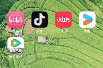 upload your video or picture to rednote,bilibili,douiyin etc