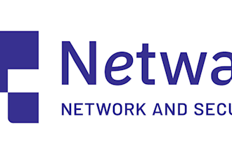 provide network and security consultation