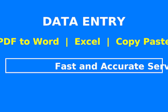 professional data entry PDF to word excel copy paste and fast typing service
