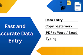 do urgent data entry and excel tasks in 1 day