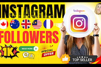 do premium quality american instagram page followers