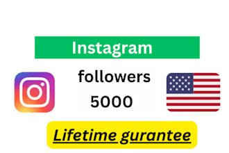 do premium quality american instagram page followers