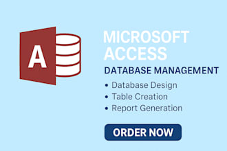 design and develop a custom microsoft access database with forms and queries