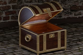 3d model of chest