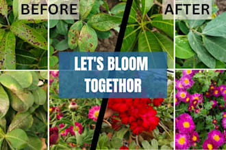 be your professional horticulture consultant for healthy plants