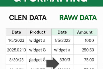 excel data cleaning , formatting