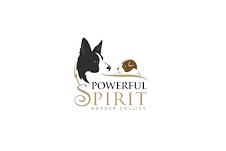 design pet, dog, cat, any animal and veterinary clinic logo
