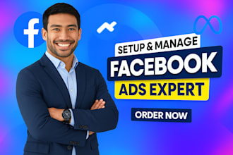 setup facebook ads, instagram ads for leads and sales