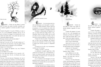 create poetic illustrations for book chapters