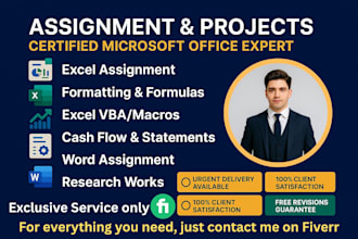 do excel assignments projects formatting formulas data analysis