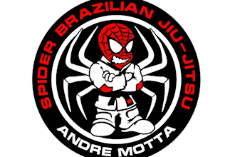 design a wonderful spider logo