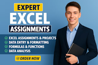 do excel assignments, data analysis and vba projects