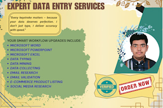 do data input in excel