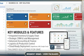 install and customize your erp system