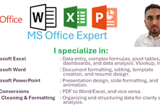 be your ms office expert word excel powerpoint access