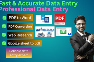 professional data entry services