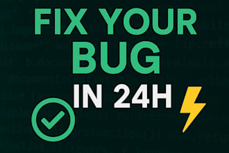fix any website or web app bug in 24 hours