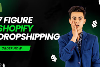 build a 7 figure shopify dropshipping store
